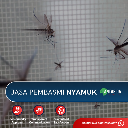 Jasa Pembasmi Nyamuk